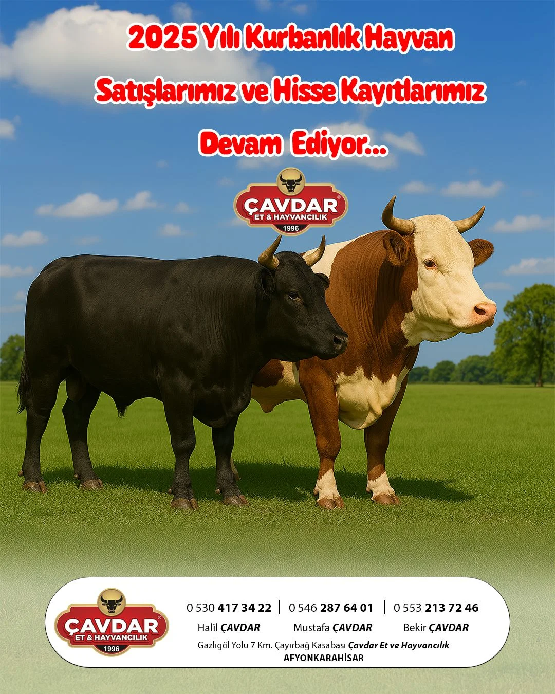 Afyon Şehir Adakçısı | Akika Kurbanı | Şükür Kurbanı | Afyon Adaklık | Kurban Online Adaklık Kurban
